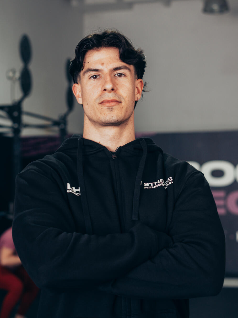 LUÍS HENRIQUE